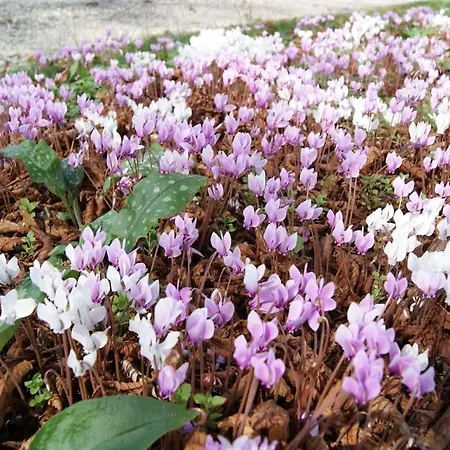 La Maison Des Champs