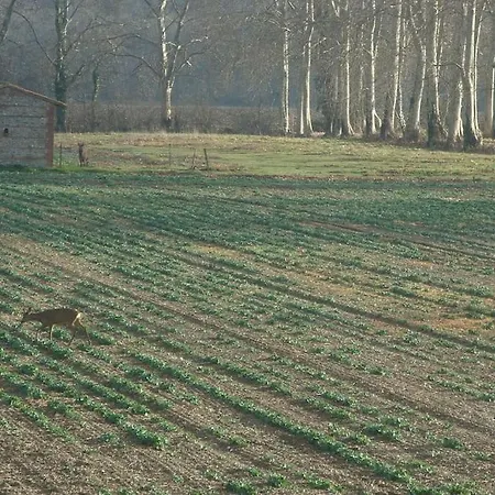 La Maison Des Champs * Cintegabelle