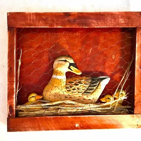 La Maison Des Champs Cintegabelle