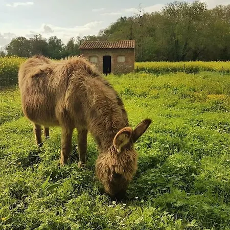 בית נופש La Maison Des Champs *