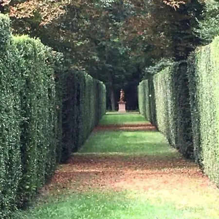 La Maison Des Champs *