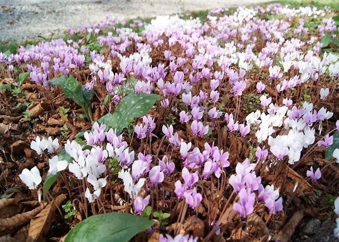 La Maison Des Champs