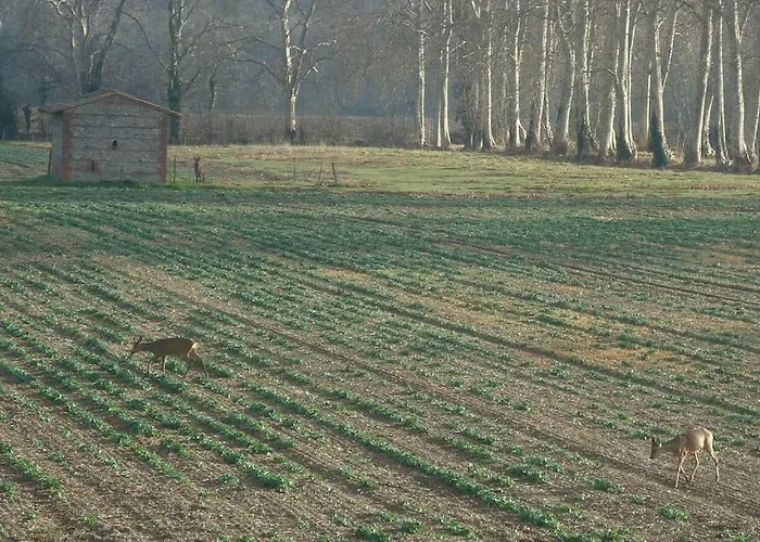 La Maison Des Champs * Cintegabelle