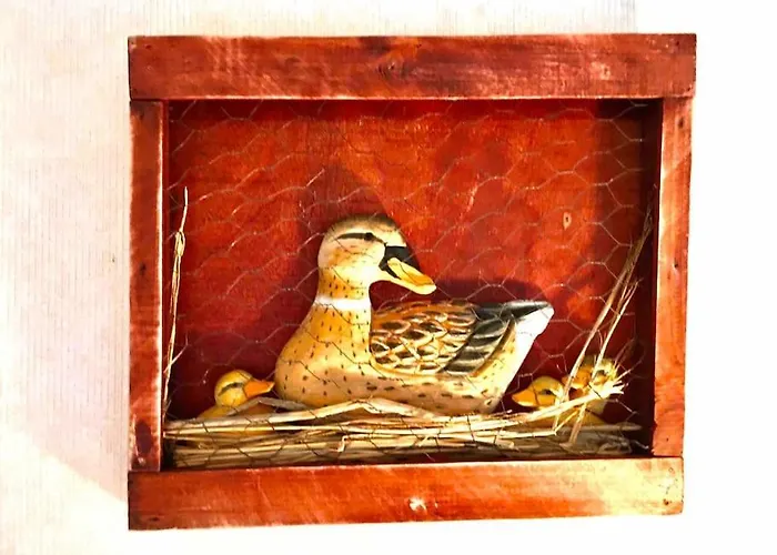 La Maison Des Champs Cintegabelle