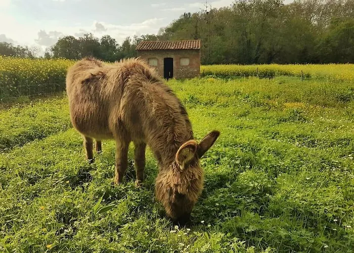 Vakantiehuis La Maison Des Champs *